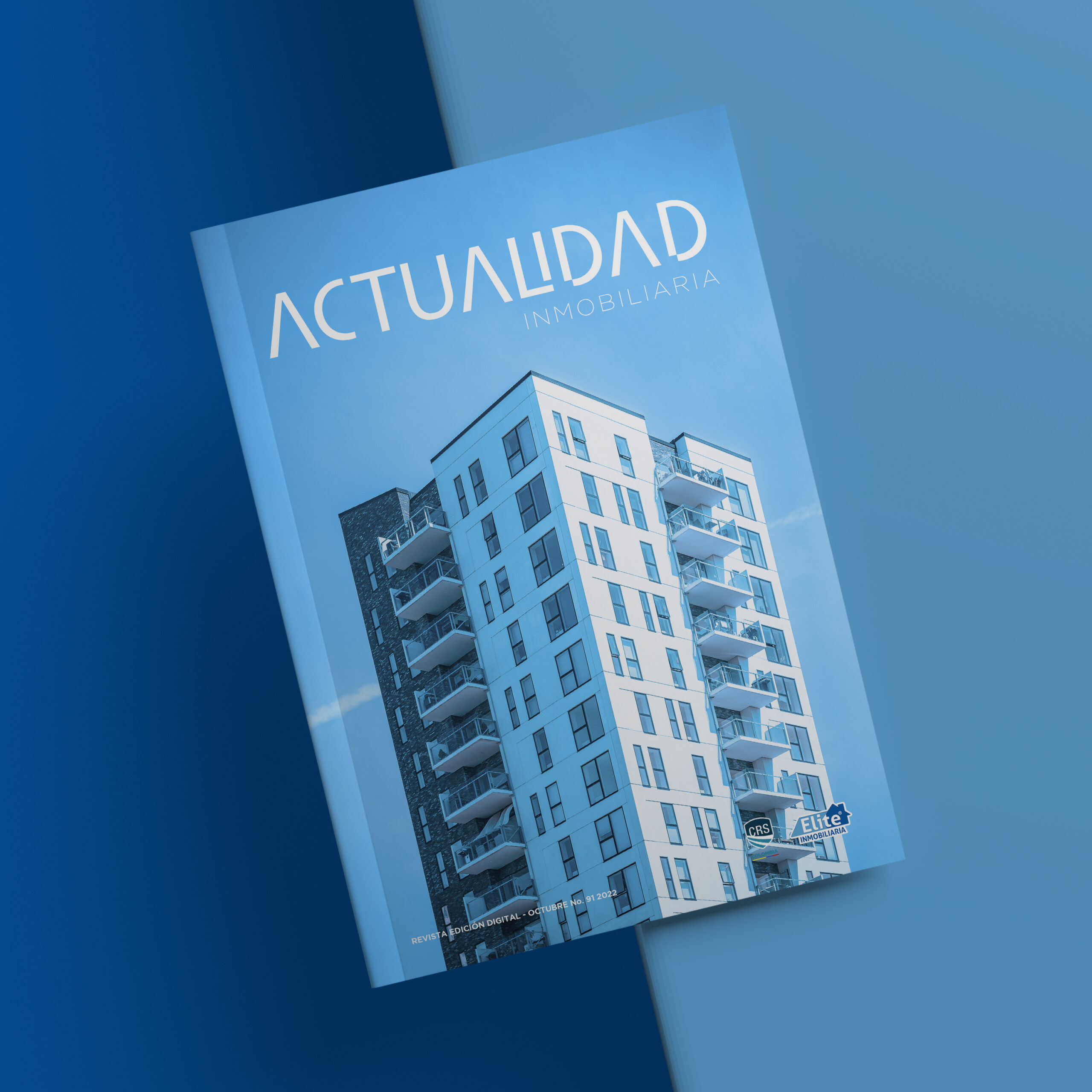 REVISTA ACTUALIDAD INMOBILIARIA