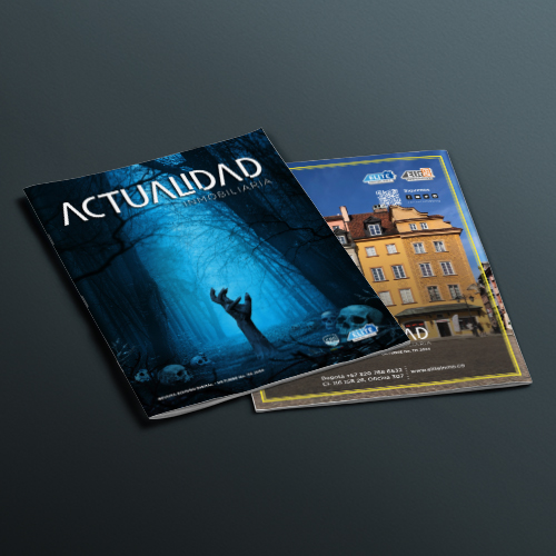 REVISTA ACTUALIDAD INMOBILIARIA