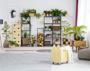 REVISTA ACTUALIDAD INMOBILIARIA